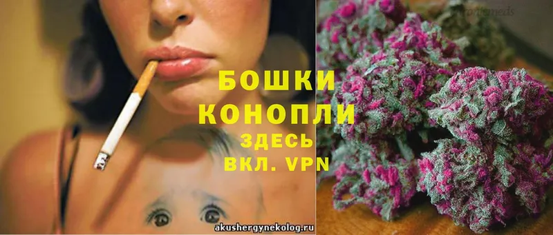 Марихуана OG Kush  Бобров 